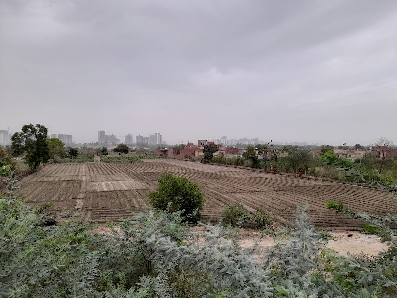 Basantpur