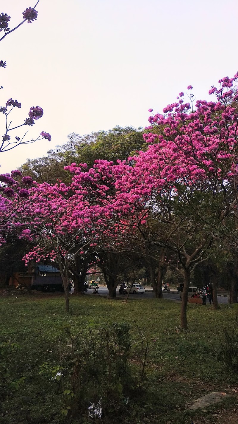 Gnana Bharathi