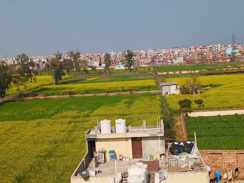 Jharoda Majra Burari