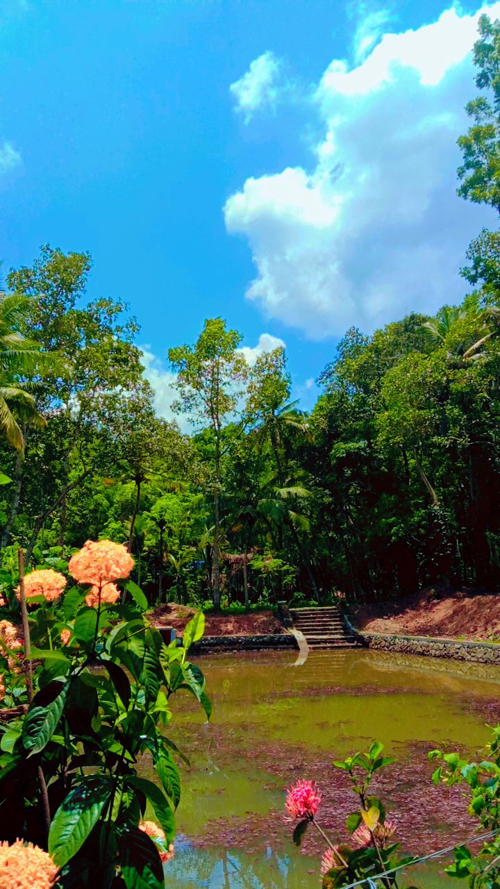 Kakkanam