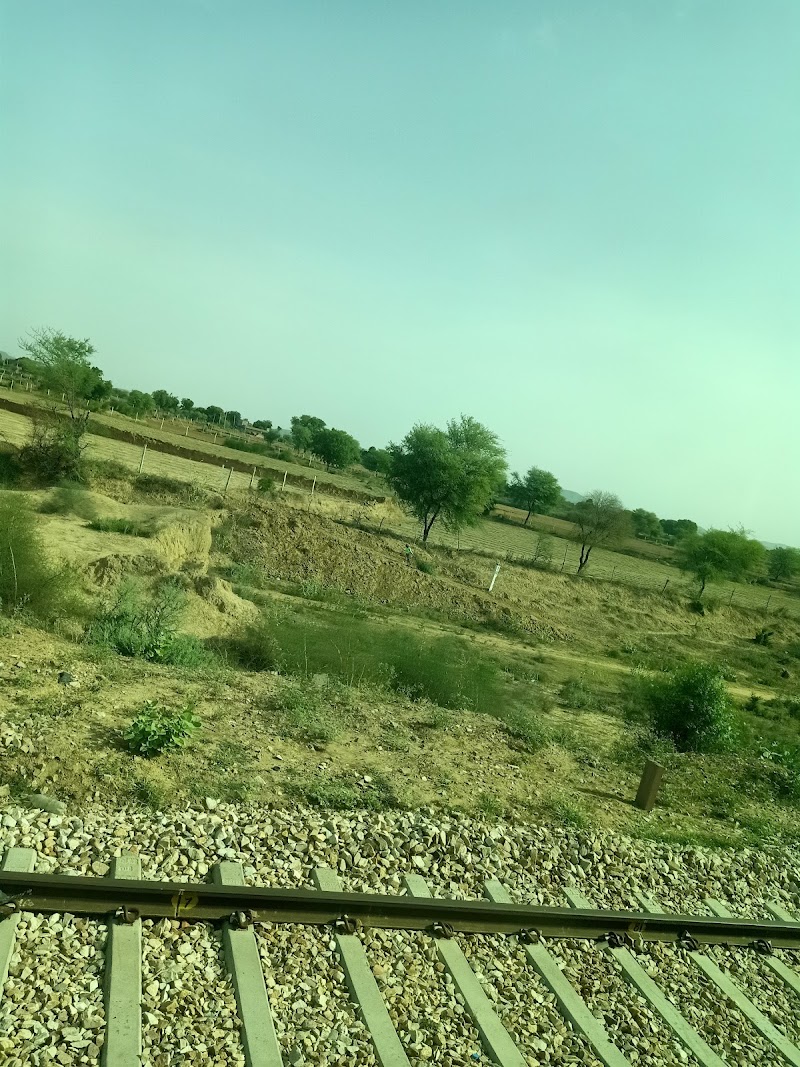 Rakhial