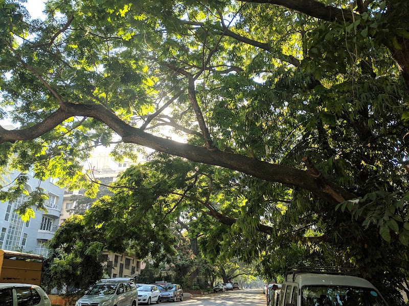 Richards Town
