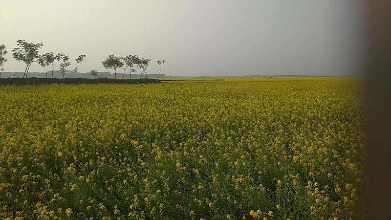 Roop Nagar