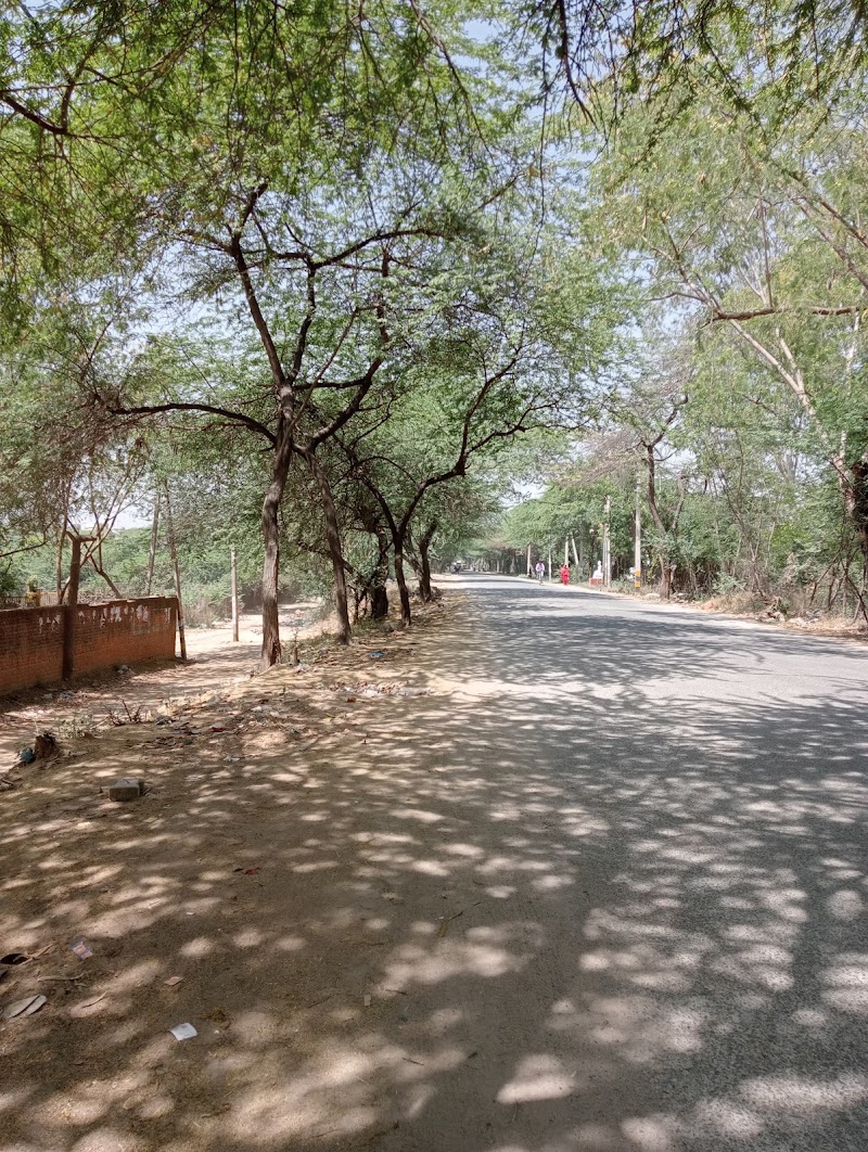 Sainik Farm