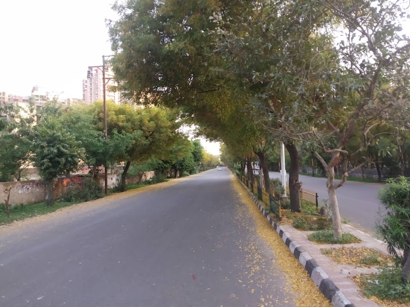 Sector 70