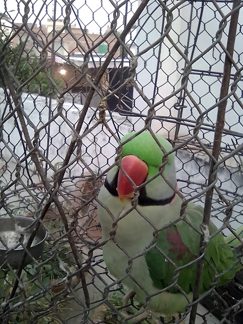 Yahiyaganj